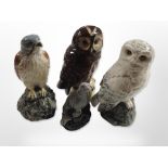 Four Beneagles Whyte and Mackay whisky decanters, to include snowy owl, kestrel, tawny owl,