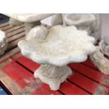 A concrete shell bird bath,