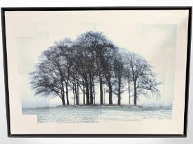 Ruth J Maxwell (Contemporary) Laurencekirk Copse, photographic print on canvas,