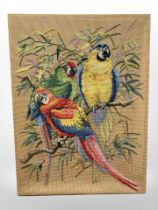A continental wool embroidery depicting macaws, 116cm x 155cm.