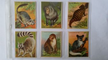 AMERICAN TOBACCO CO., Hassan, Animals, part set, large, G, 25