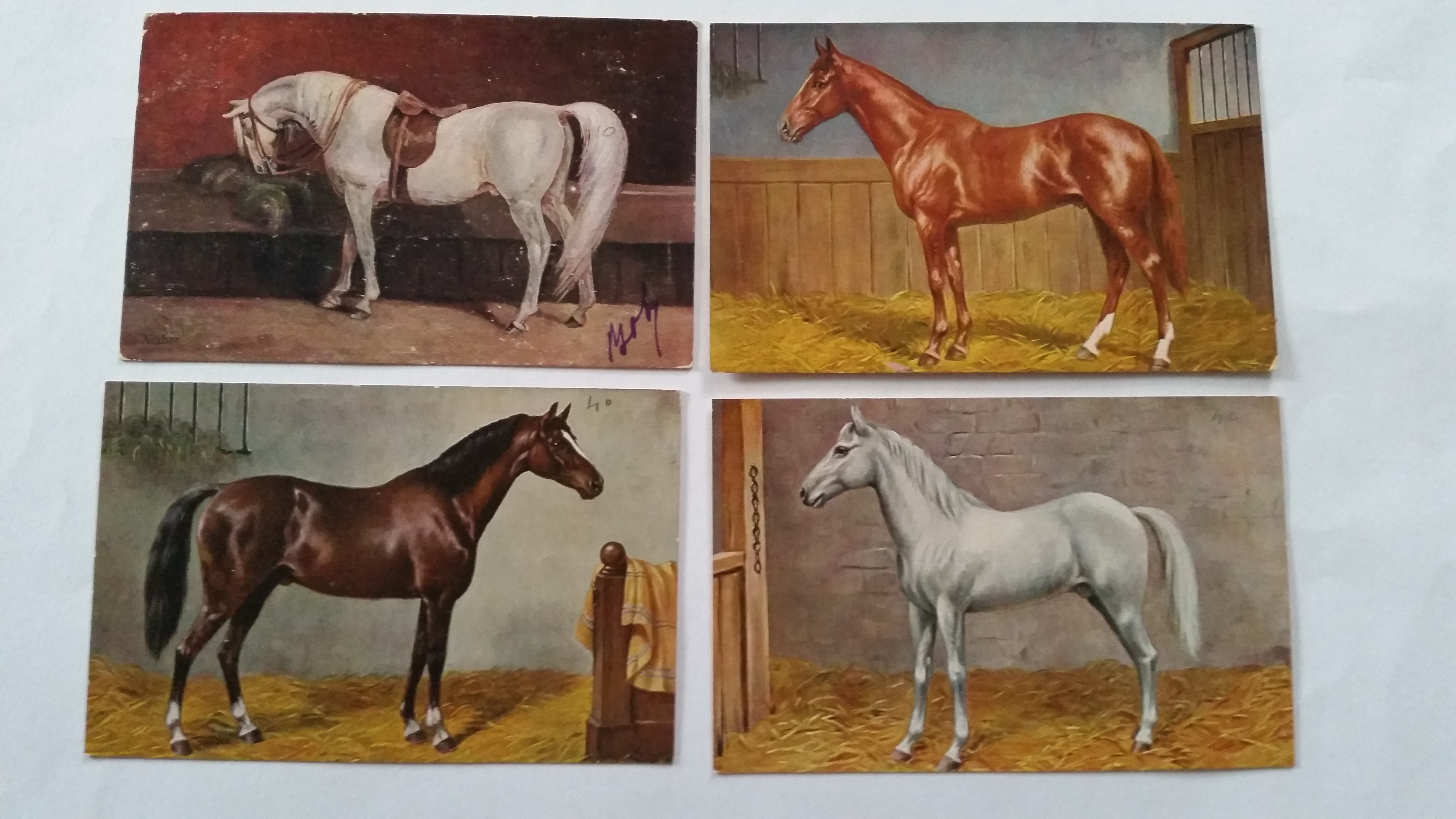 HORSERACING, postcard selection, circa early 1910s, inc. many international issue, Java, Ivan, - Image 4 of 4