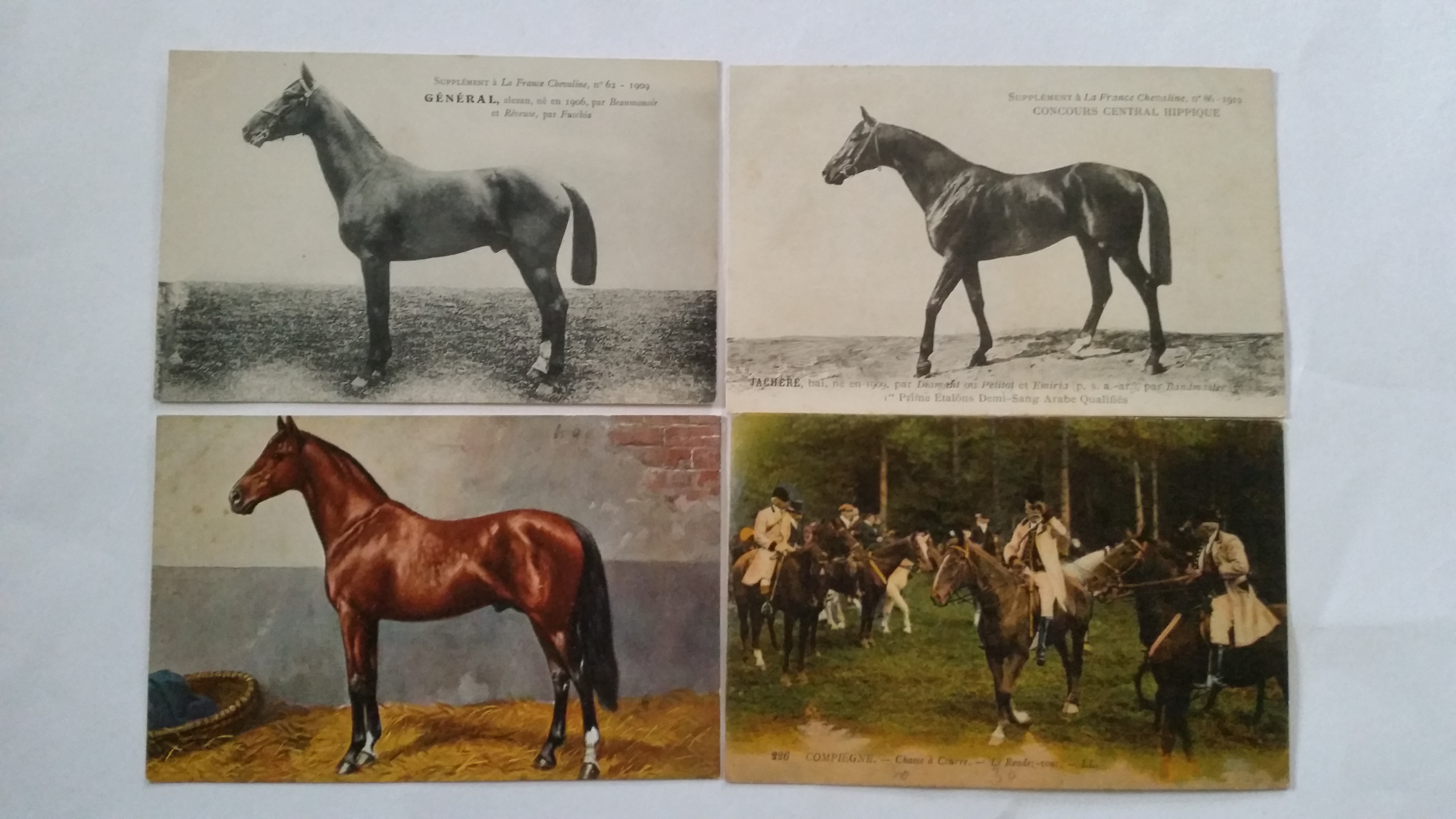 HORSERACING, postcard selection, circa early 1910s, inc. many international issue, Java, Ivan,