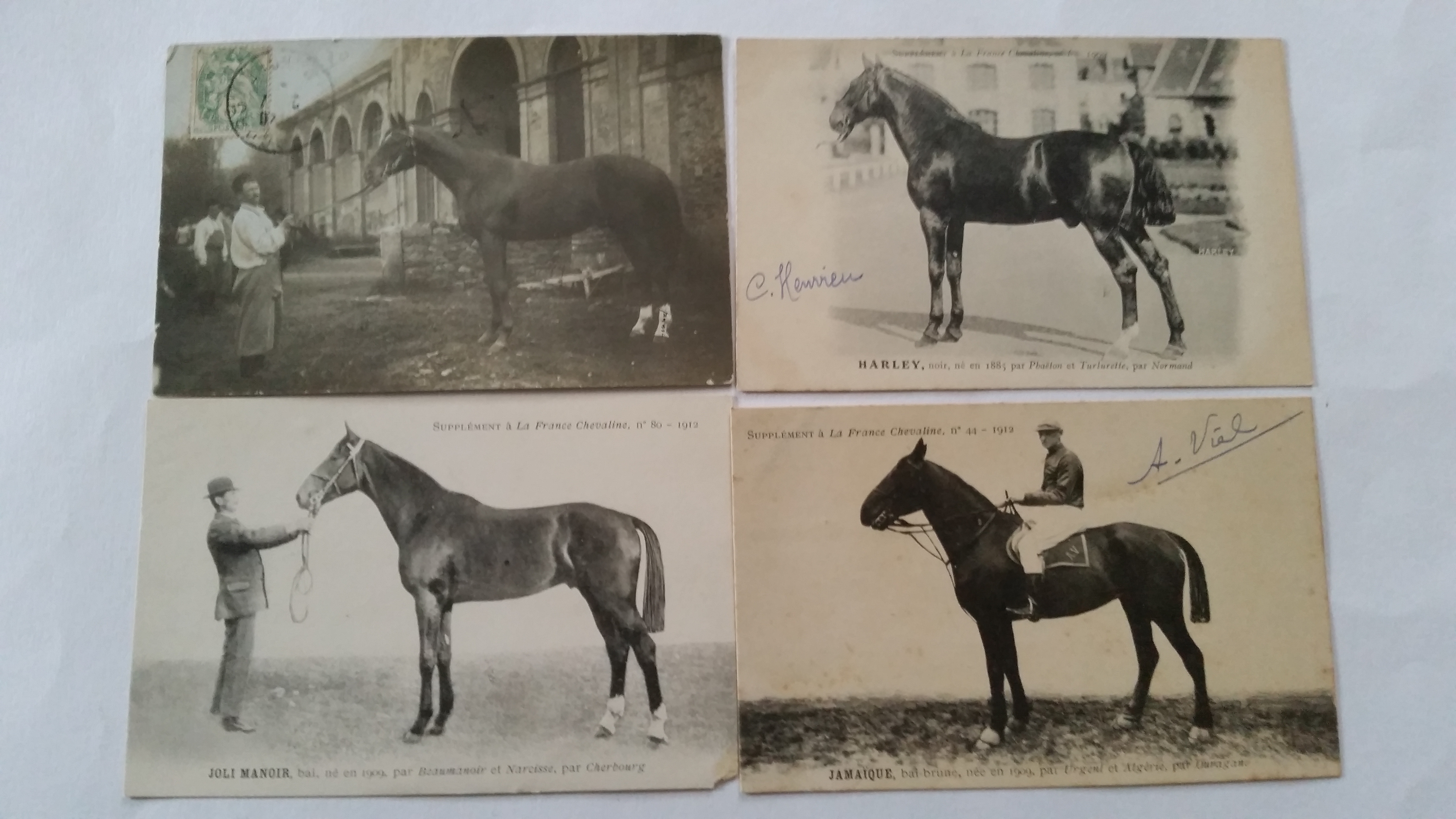 HORSERACING, postcard selection, circa early 1910s, inc. many international issue, Java, Ivan, - Image 2 of 4