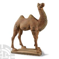 Tang Style Camel