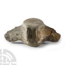 Natural History - Fossil Dolphin Vertebra