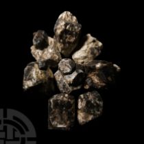 Natural History - Large Dravite Tourmaline Crystal Specimen Group [8].