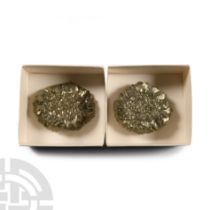 Natural History - Boxed Pyrite 'Fool's Gold' Crystal Rose Pair [2].