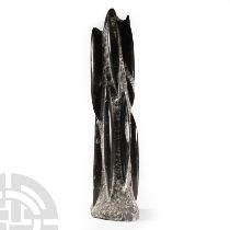 Natural History - Polished Fossil Orthoceras Column