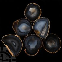 Natural History - Natural Agate Cut and Polished Geode Half Group [6].