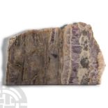 Natural History - Unpolished Cut Amethyst Crystal Geode Slice.
