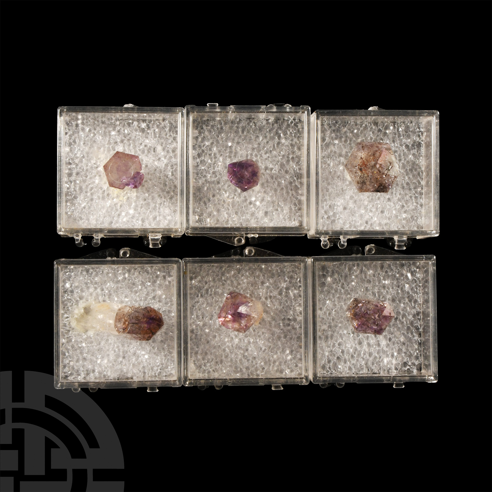 Natural History - Cased Amethyst Crystal Points [6].