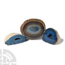 Natural History - Agate Crystal Geode Cut Section Collection [3].