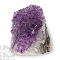 Natural History - Amethyst Crystal Geode Section.