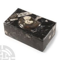 Natural History - Polished Goniatite Jewellery Box