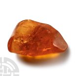 Natural History - Large Polished Baltic Amber with Insect Inclusions