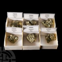 Natural History - Boxed Pyrite Mineral Specimen Group [6].