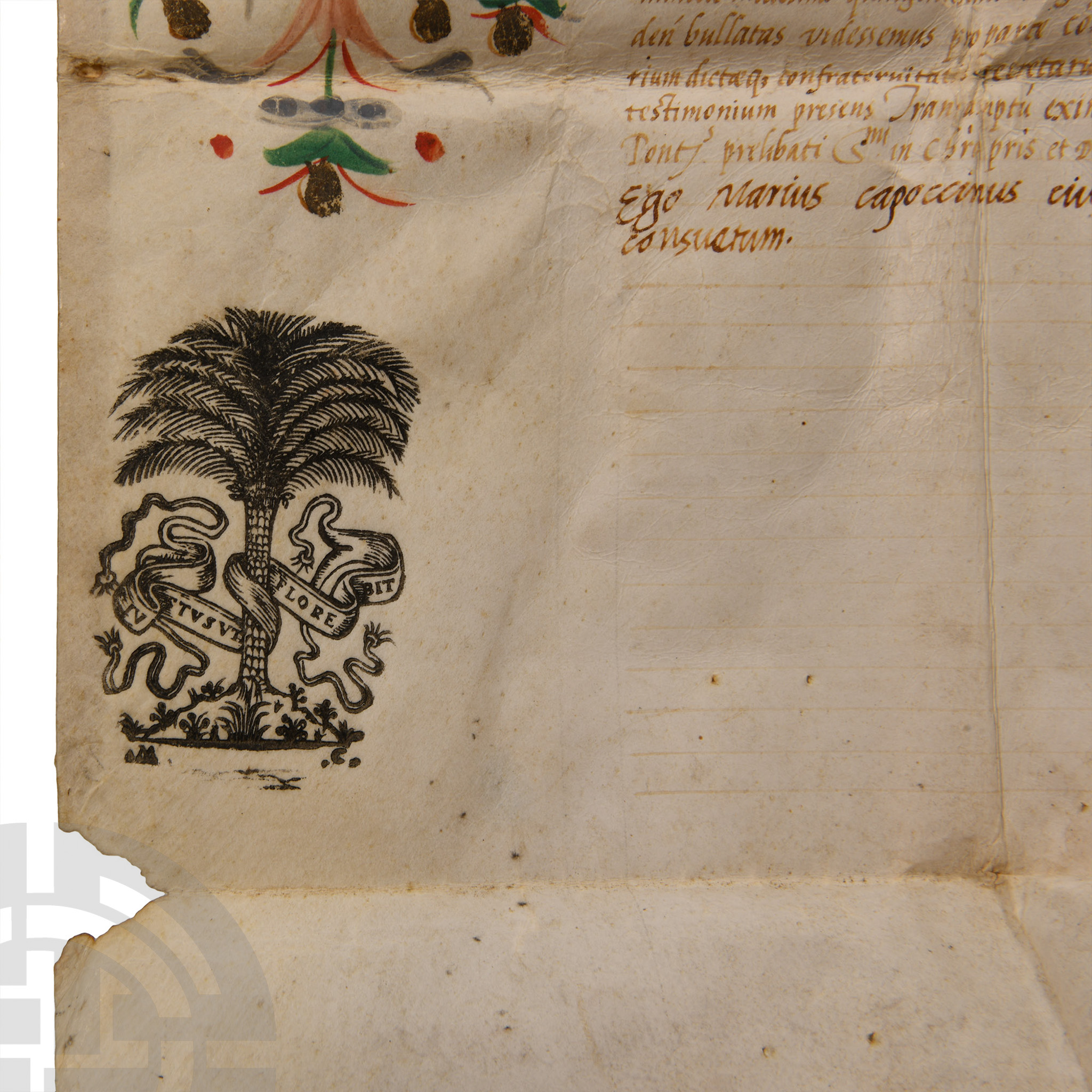 Post Medieval Vellum Document of Pope Paul III - Image 5 of 6