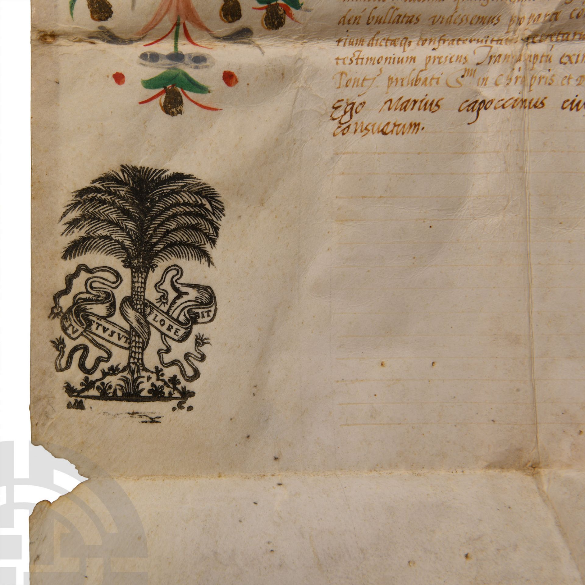 Post Medieval Vellum Document of Pope Paul III - Bild 5 aus 6