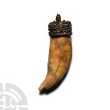 Viking Age Silver Pendant with Bear's Tooth