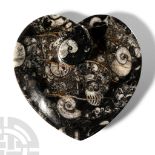 Natural History - Fossil Goniatite Heart-Shaped Trinket Tray