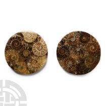 Natural History - Polished Fossil Ammonite Coaster Set