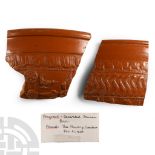 Romano-British 'Poultry' Samian Ware Sherd Group