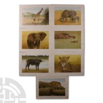 Africa's Magnificent Seven Prints by Chris Chrisoforou