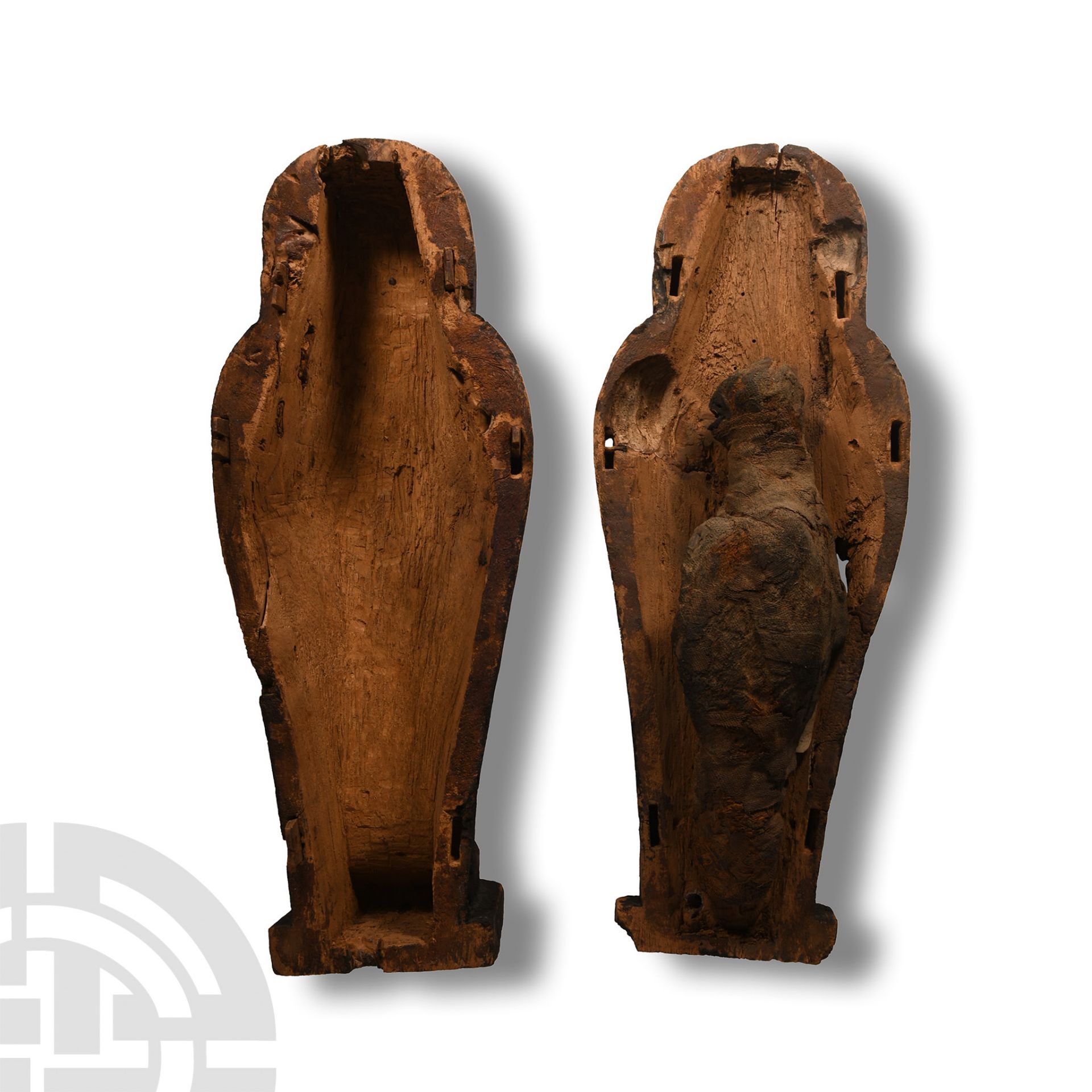 Egyptian Wooden Sarcophagus with Falcon Mummy - Bild 3 aus 4