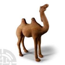 Chinese Tang Terracotta Camel