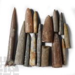 Natural History - British Fossil Belemnite Collection