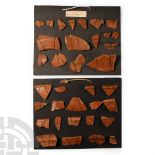 Romano-British 'Hampshire' Samian Ware Sherd Collection on Display Cards