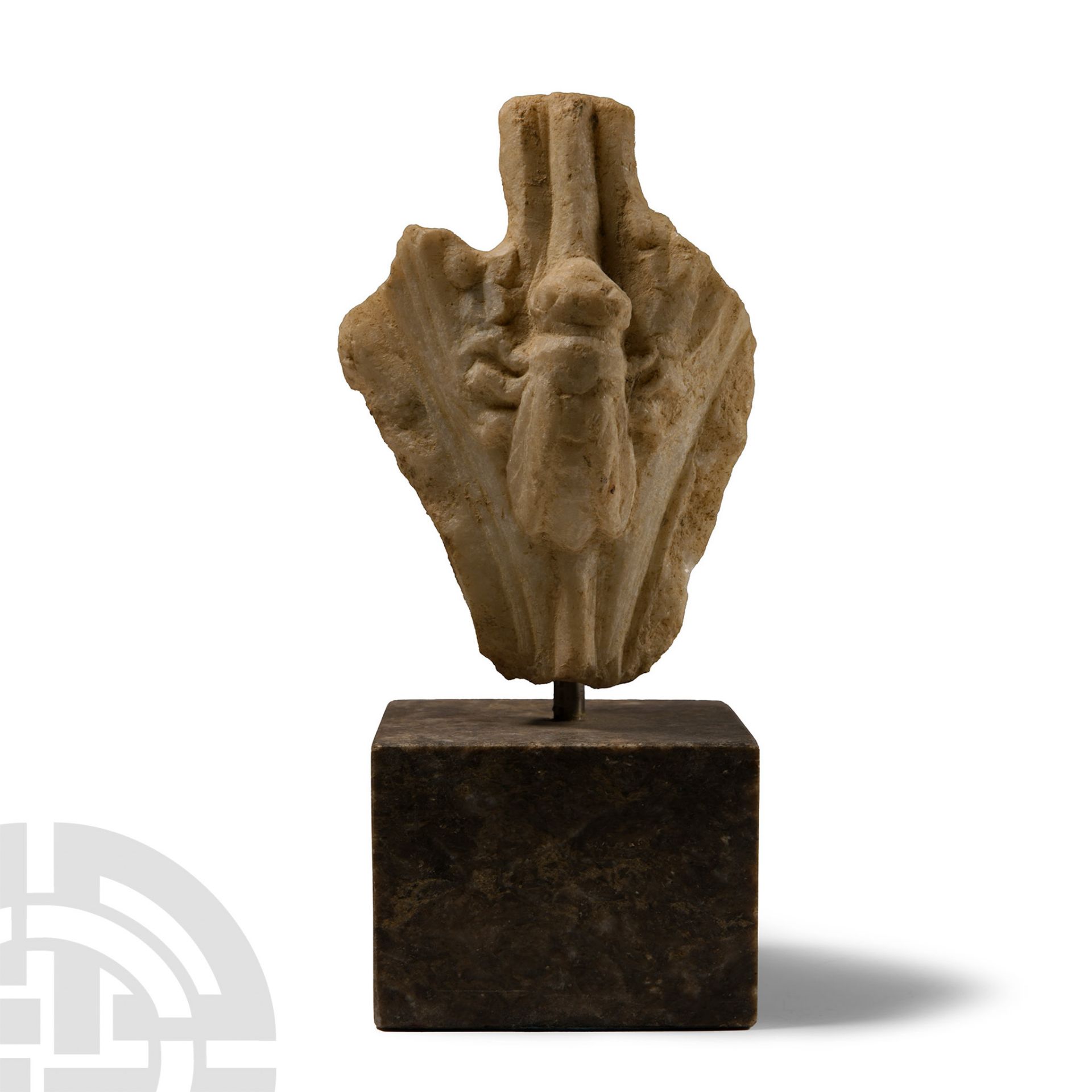 Roman Marble Cicada Fragment