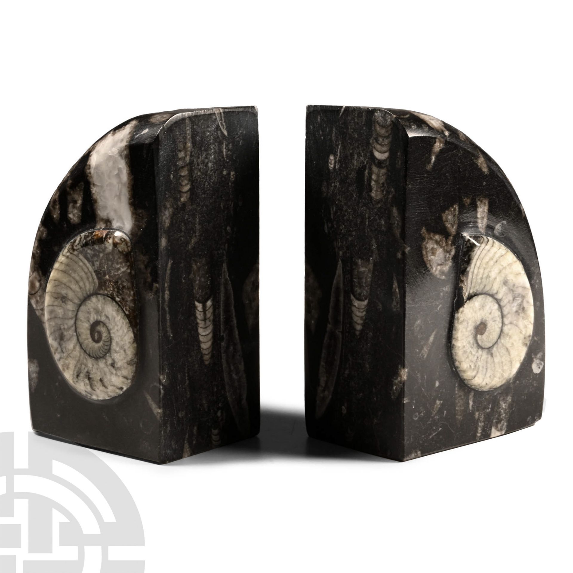 Polished Fossil Orthoceras Bookend Pair