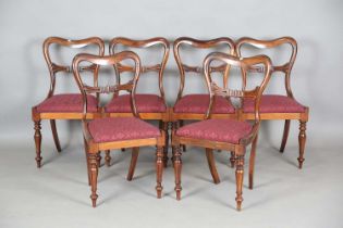 A set of six William IV rosewood spoon back dining chairs with carved centre rails and tulip cusp