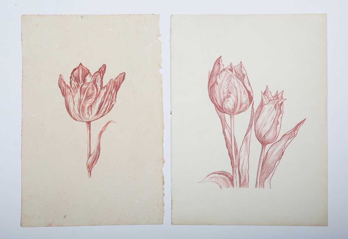 J. Diner – Tulips, 20th century sanguine with pastel, signed, sheet size 42cm x 26.5cm, together - Image 5 of 6