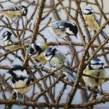David C. Lyons – ‘Waiting for their Peanuts’ (Eurasian blue tits), oil on board, signed recto,