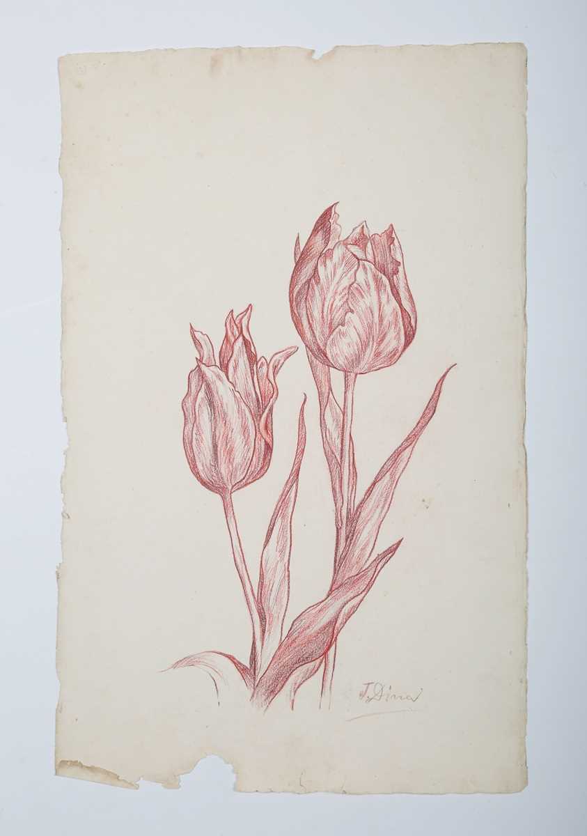 J. Diner – Tulips, 20th century sanguine with pastel, signed, sheet size 42cm x 26.5cm, together - Image 2 of 6