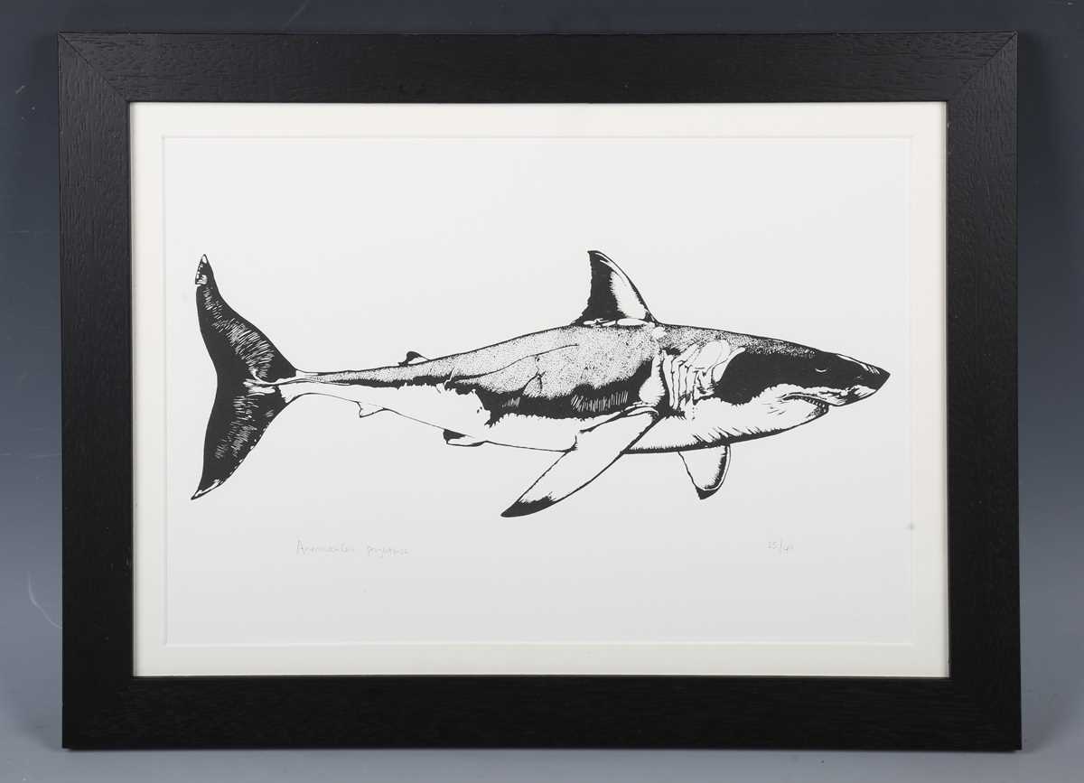 Anoushka Cole – ‘Project Fish’, 21st century screenprint, signed, titled and editioned 25/40 in - Image 3 of 10