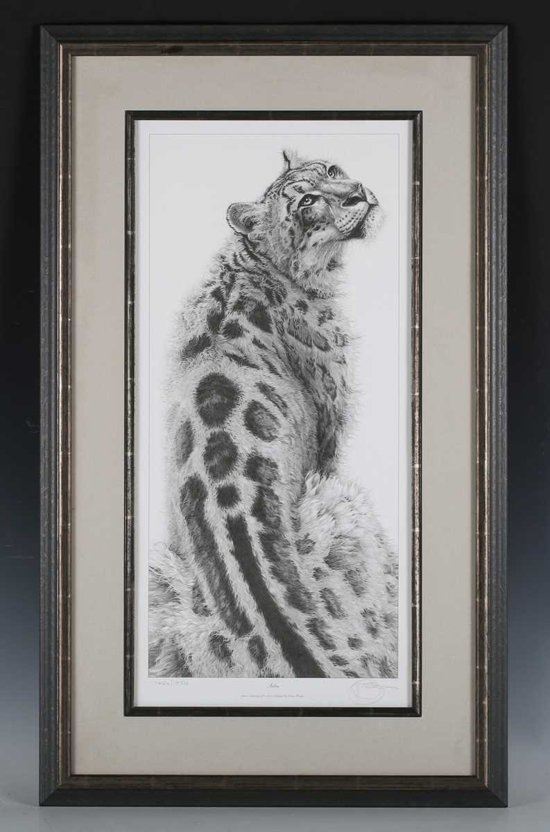 Gary Hodges – ‘Sabu’ (Snow Leopard), 20th century monochrome print, signed and editioned 1044/ - Image 2 of 5