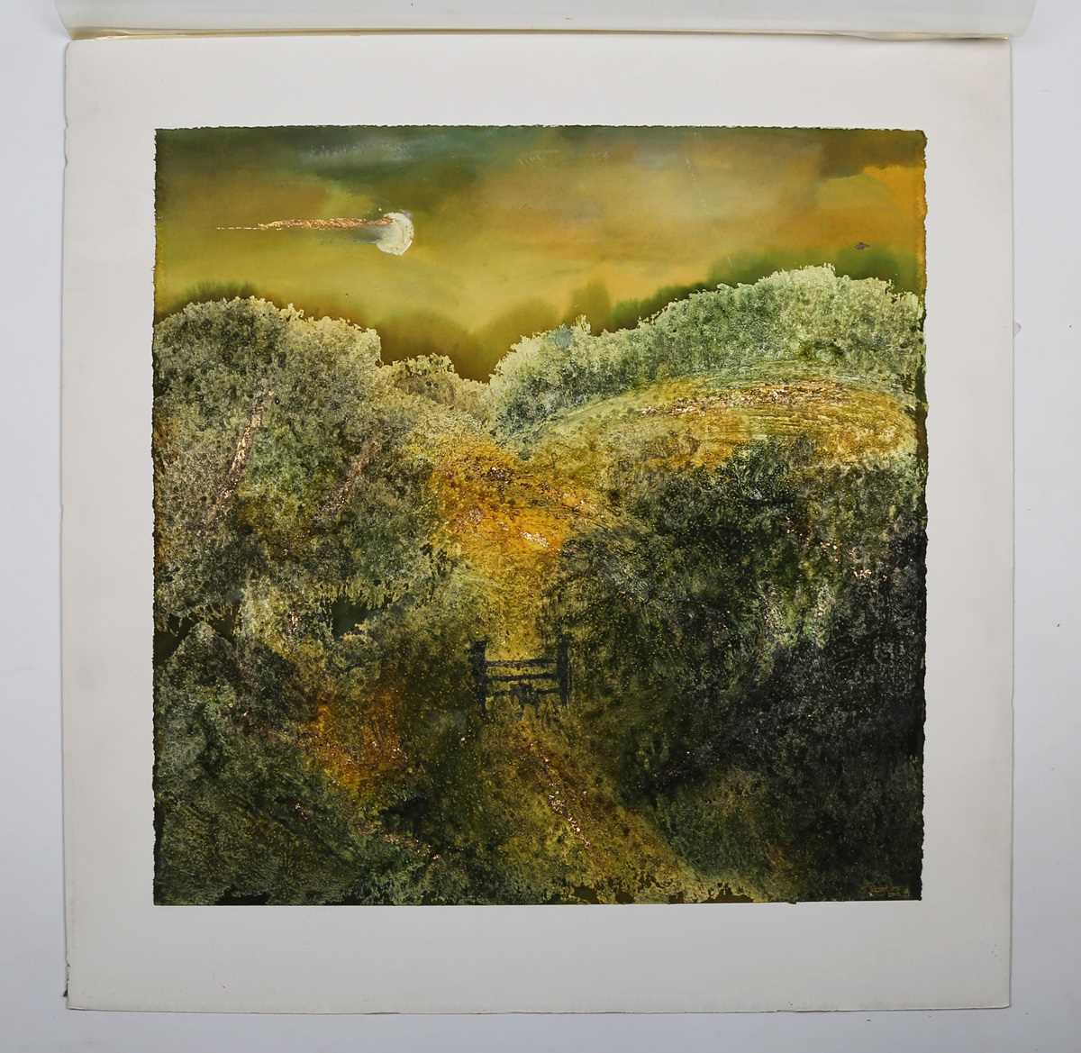 Janet Rogers – Moonlit Landscape, mixed media on paper, signed and dated 2009, 57cm x 56.5cm, - Image 2 of 8