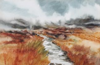 Phyllis del Vecchio – Dartmoor Landscape, 20th century watercolour, signed, 33cm x 50.5cm, within