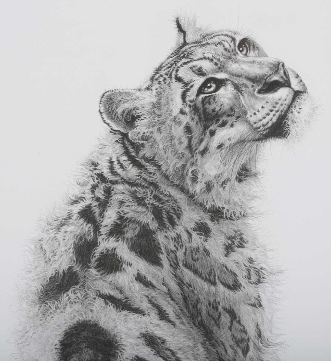 Gary Hodges – ‘Sabu’ (Snow Leopard), 20th century monochrome print, signed and editioned 1044/