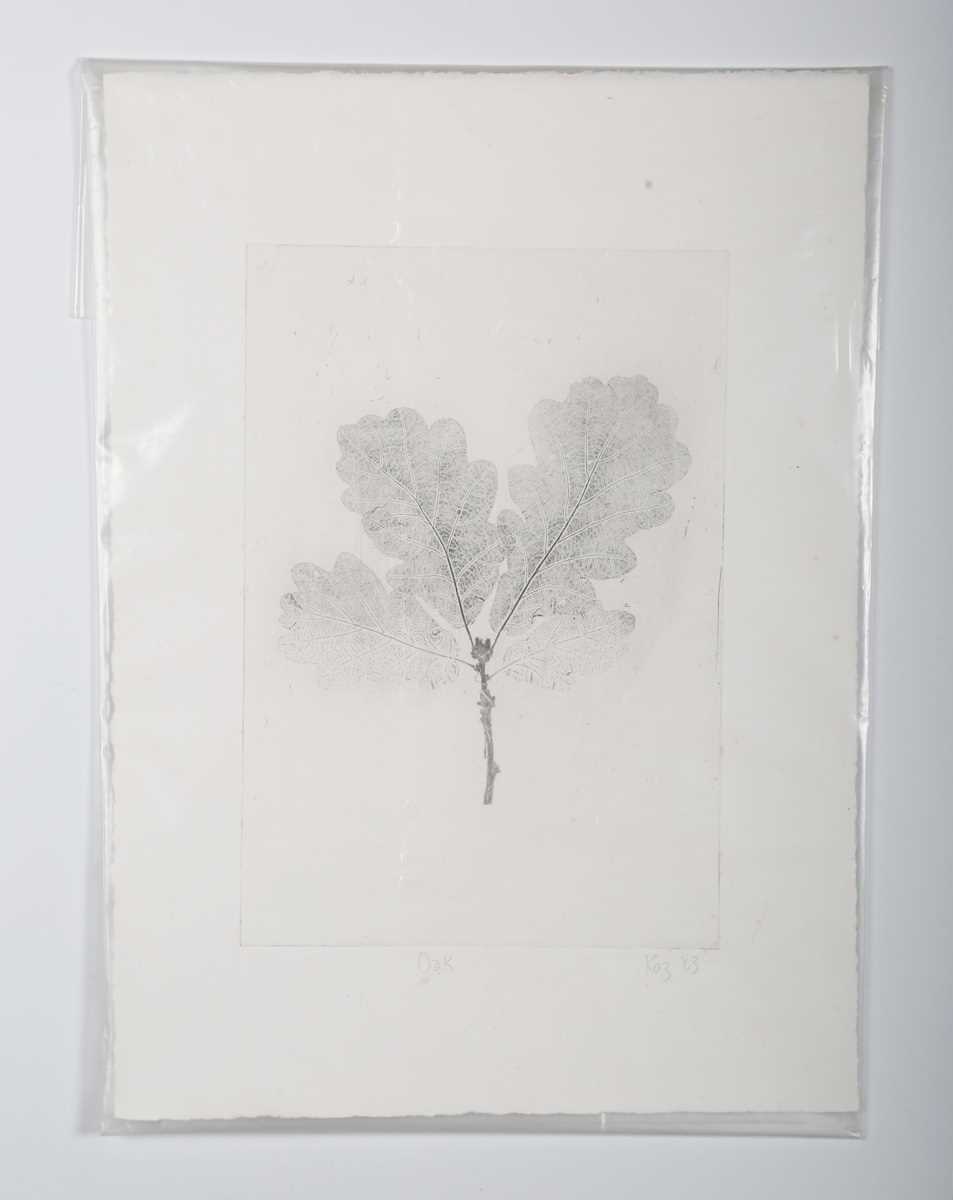 Mark Ryan – ‘Resolve’, 21st century etching with aquatint, signed, titled and editioned 7/9 in - Image 10 of 11