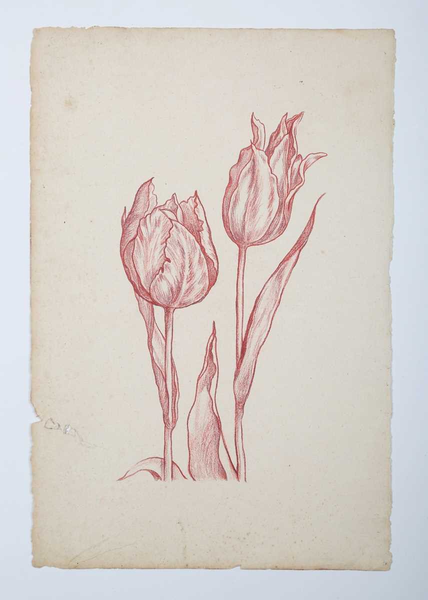 J. Diner – Tulips, 20th century sanguine with pastel, signed, sheet size 42cm x 26.5cm, together - Image 6 of 6