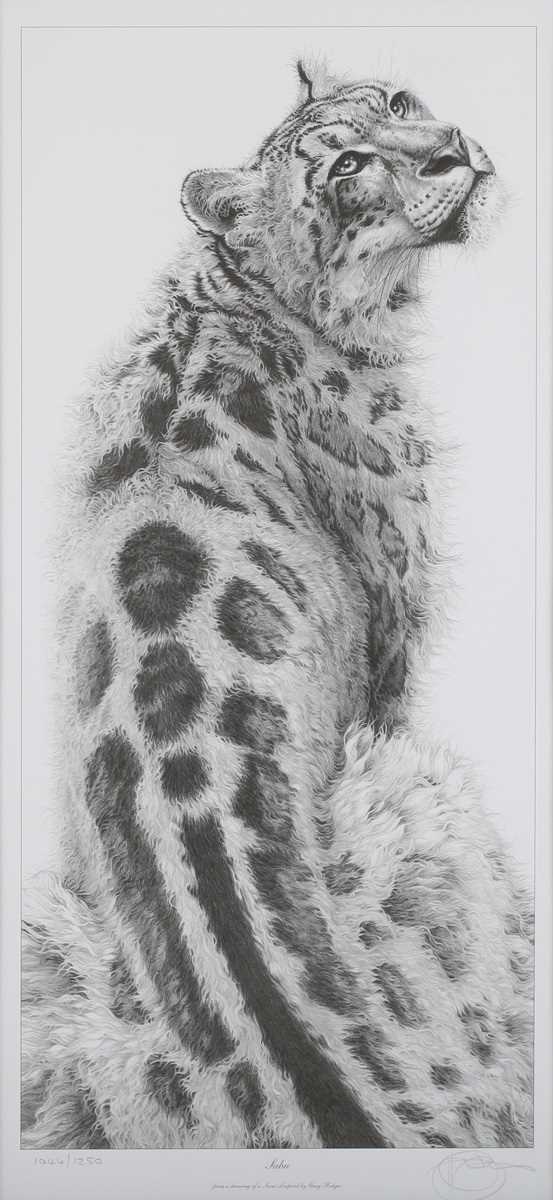 Gary Hodges – ‘Sabu’ (Snow Leopard), 20th century monochrome print, signed and editioned 1044/ - Image 3 of 5