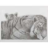 Gary Hodges – ‘Pride and Joy’ (Tigers), 20th century monochrome print, signed and editioned 507/1250