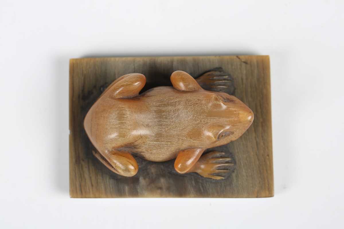 A 19th century Chinese carved rhinoceros horn model of a frog, mounted on a horn rectangular base, - Image 6 of 6