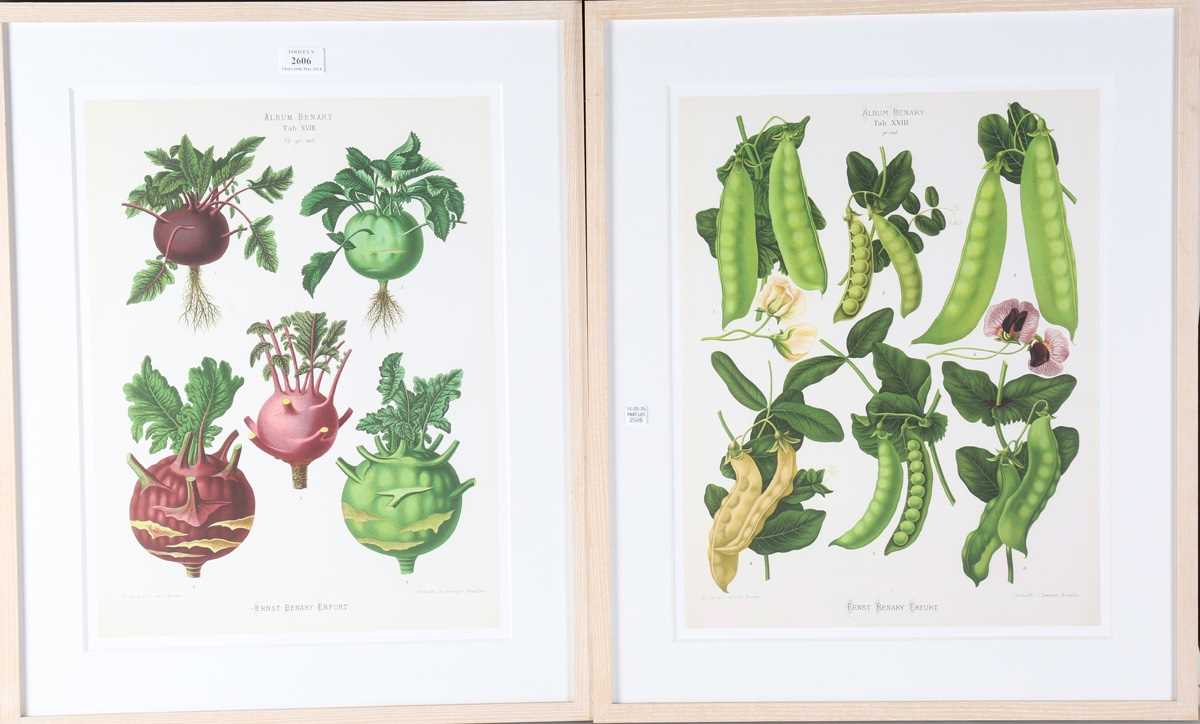 A set of five modern reproduction colour prints depicting botanical studies of vegetables by Ernst