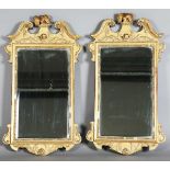 A pair of early 20th century George III style gilt composition wall mirrors, the swan neck pediments